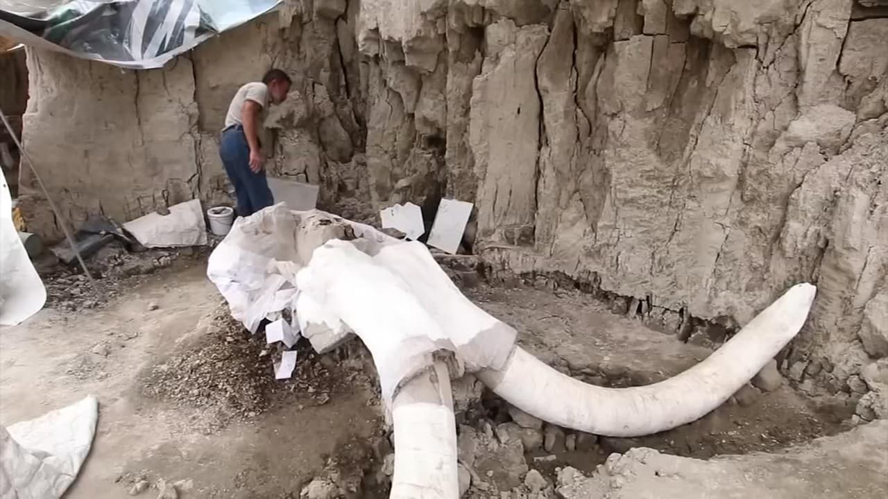 Hallan en el centro de México las primeras trampas de mamut en el mundo