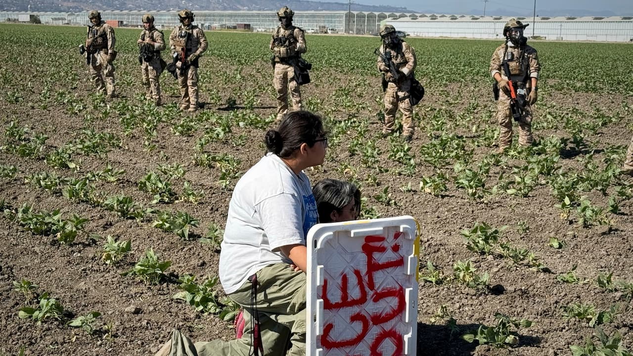 Durante el operativo, se registraron fuertes enfrentamientos entre manifestantes y agentes federales;
<b> más de 500 personas intentaron interrumpir las redadas</b> según fuentes oficiales.