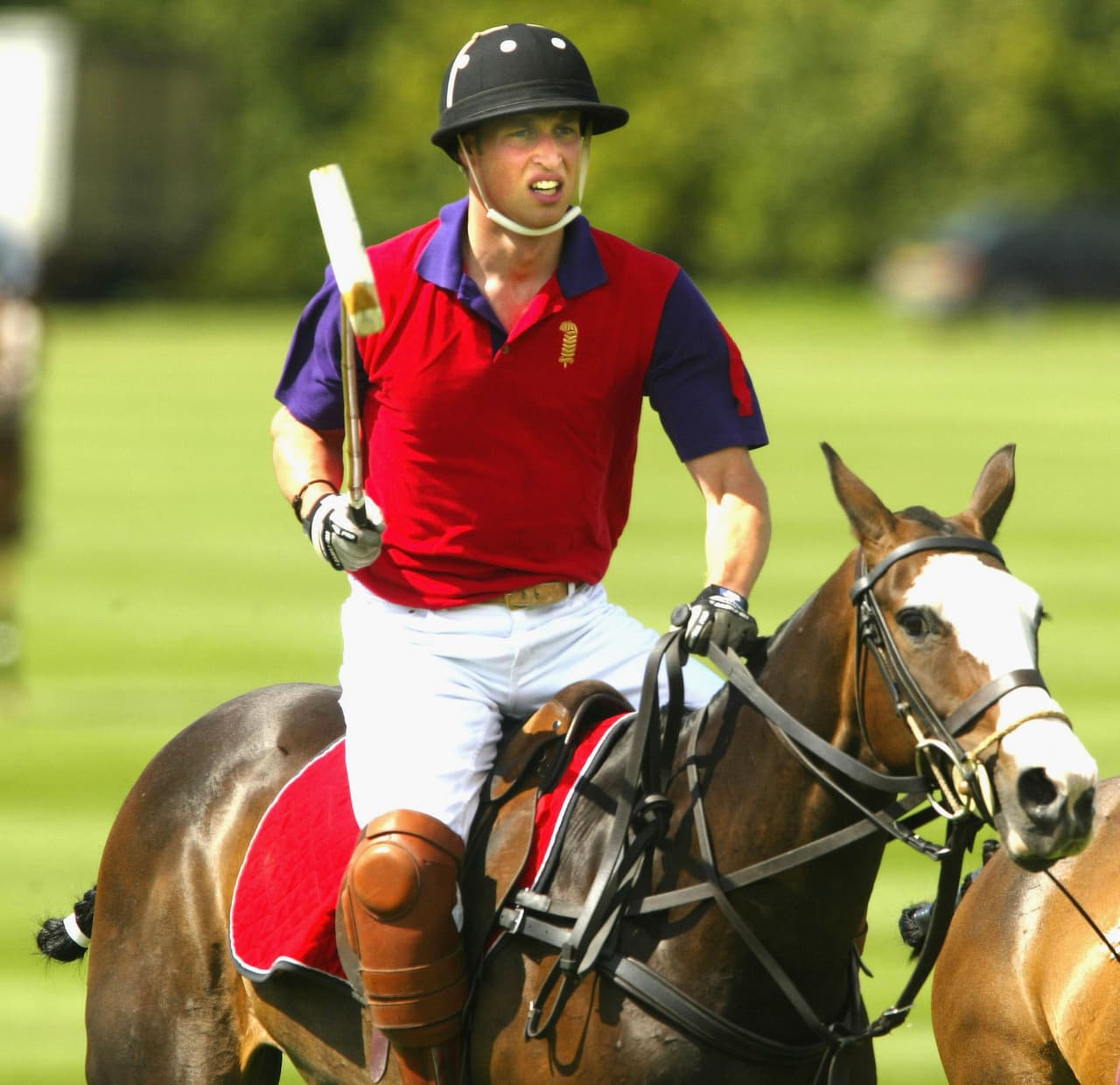 Las mejores fotos del príncipe William.