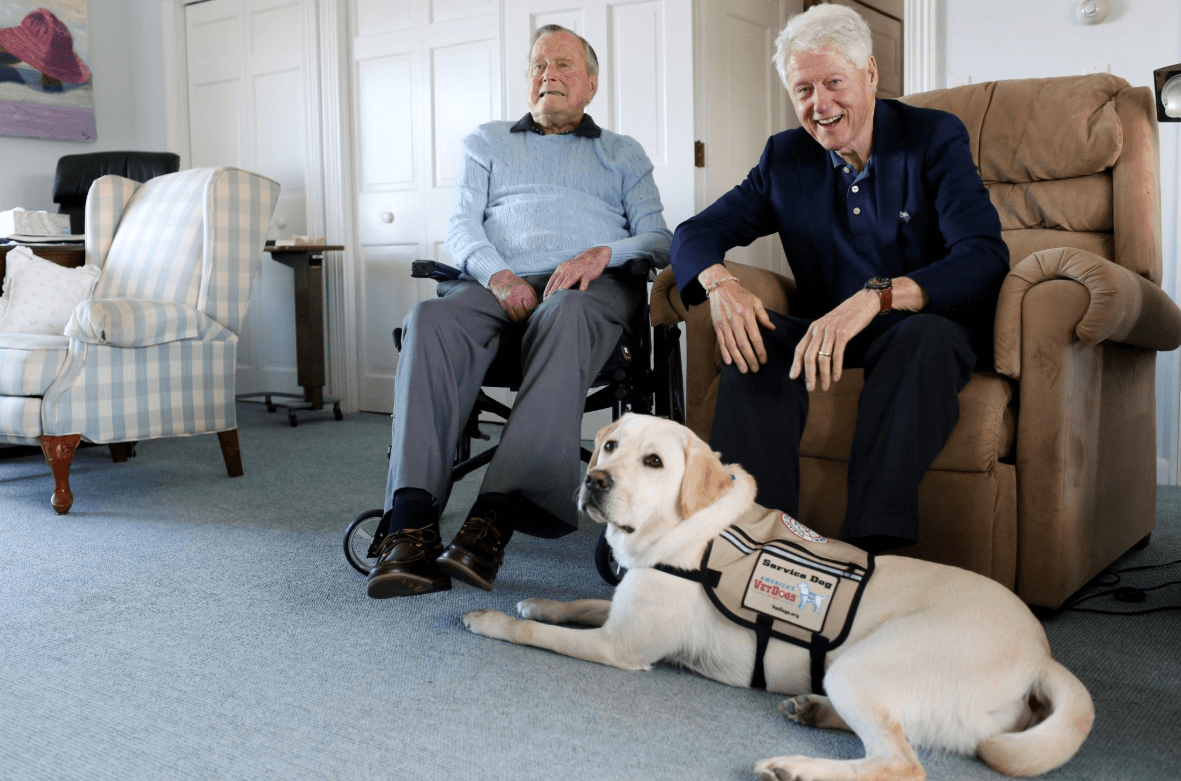 Sully es un labrador dorado entrenado para abrir puertas, recoger objetos y pedir ayuda. El expresidente Bill Clinton visitó a Bush cuando recibió a Sully en junio de 2018 en su casa de Kennebunkport, un pueblo en la costa de Maine.