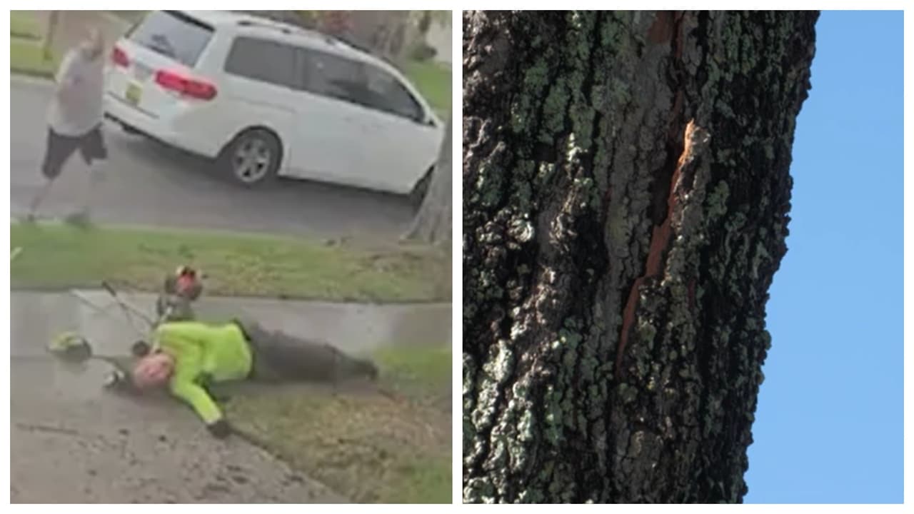 Contra todo pronóstico: Joven jardinero de Florida sobrevive al impacto de un rayo