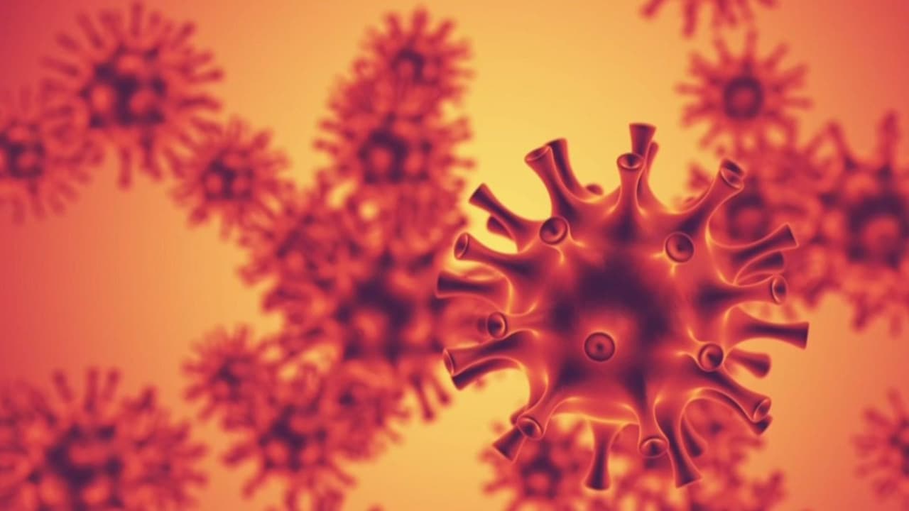 La temporada de gripe se adelanta en EEUU y causa las primeras muertes: Qué debes saber de la nueva mutación