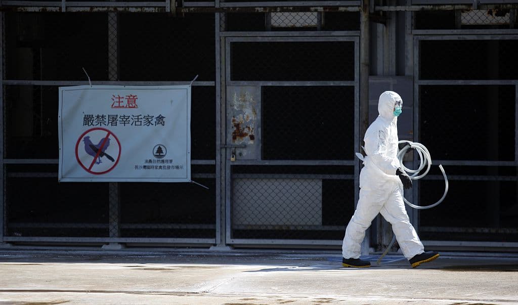 China detecta el primer caso humano de gripe aviar H3N8