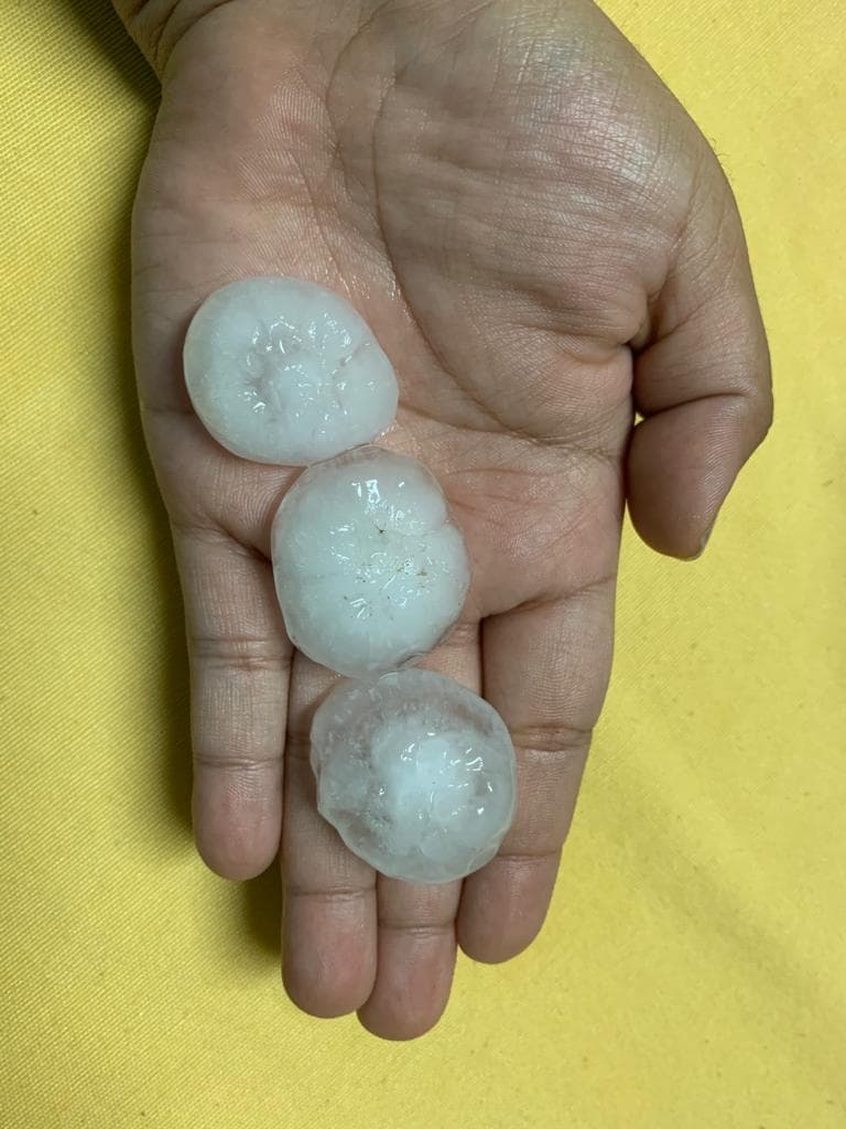 Gracias a nuestros televidentes por confiar en
<a href="https://apps.apple.com/us/app/univision-23-dallas/id1445214658" target="_blank">Noticias 23</a> y compartirnos sus fotos.
<br>