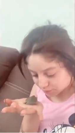 En los últimos días las cosas debieron cambiar su curso, luego de que una de sus fans le regalara una tortuga en una convivencia. Finalmente, Carlina Cisneros, su madre, "la señora regañona", como ella la llama, tuvo que permitirle tener una tortuga en casa.