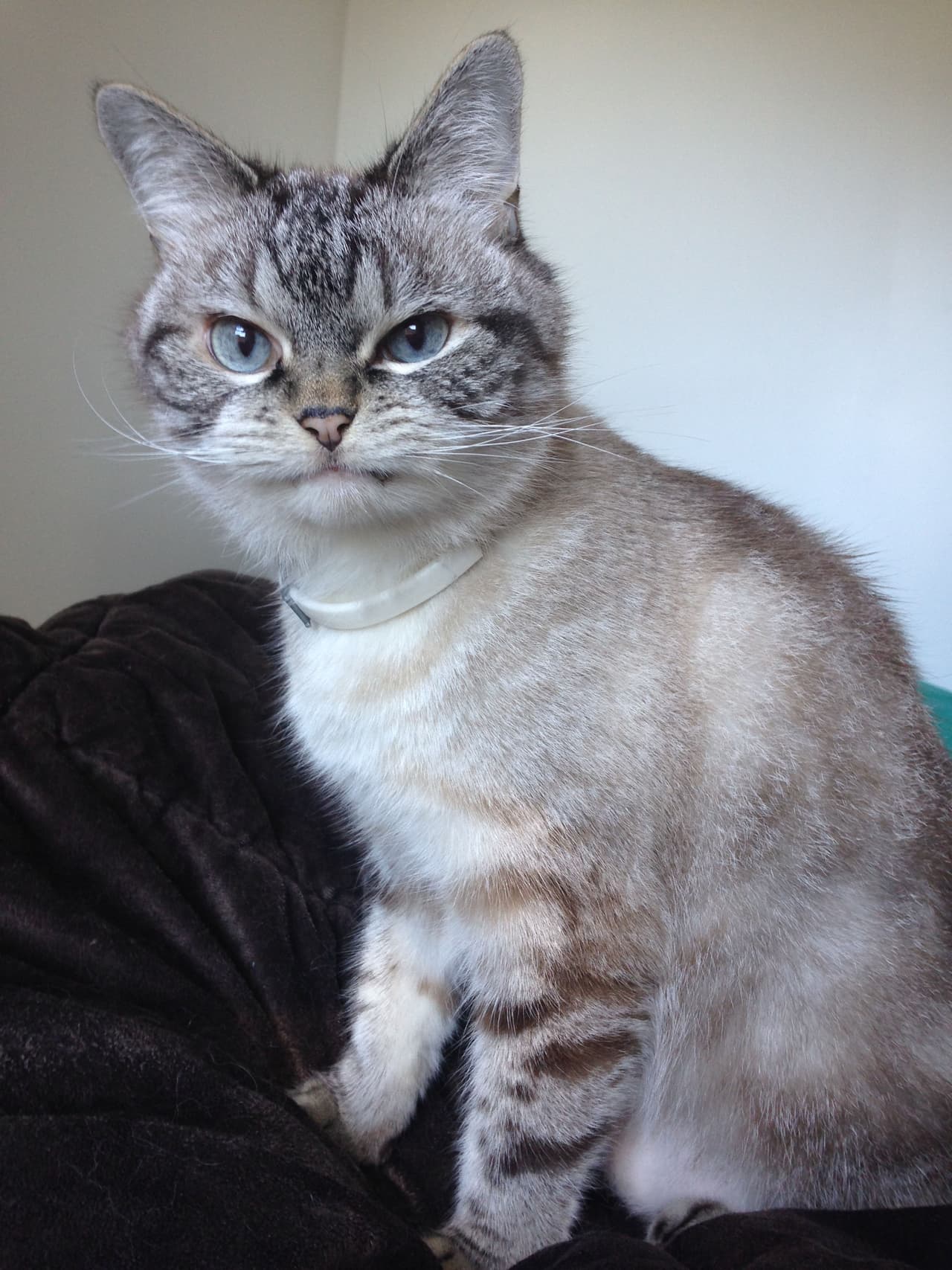 Además, los ánimos y el cariño que le brindan sus fans in Instagram es inigualable.