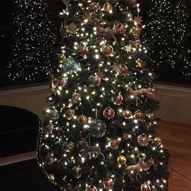 Ludwika paleta ya encendió su árbol y lo presumió en su red social diciendo 'Huele a Navidad'.