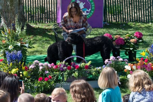 Así que, Bo y Sunny, son de las pocas razas consideradas hipoalergénicas. Mira también todos los beneficios de tener perros como los del presidente