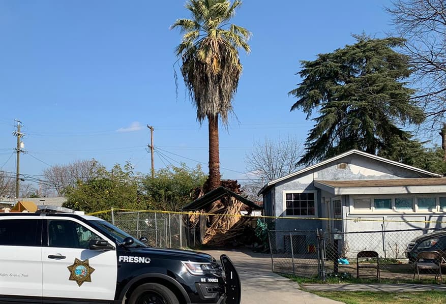 Un hombre muere mientras podaba una palmera en Fresno