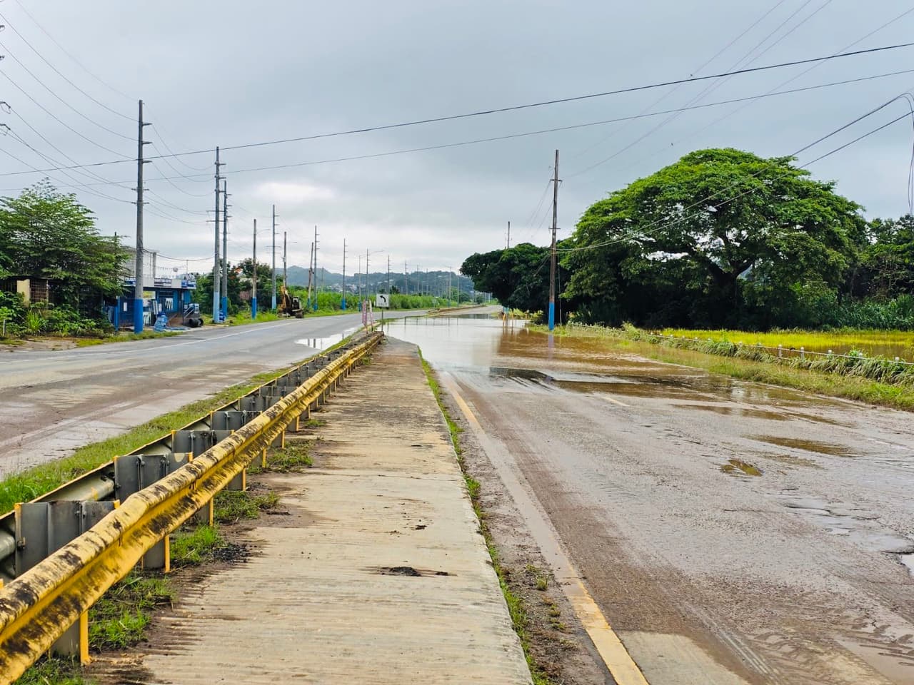 El gobierno también tomó la decisión de cerrar varias escuelas este miércoles, entre ellas, las de los municipios de Adjuntas, Sabana Grande, Orocovis, Utuado y Yauco, así como la escuela Francisco Menéndez Balbañe en Manatí.