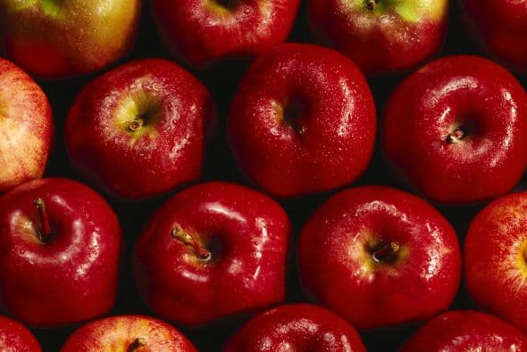 El Festival de la Manzana en el Chicago Women’s Park and Garden se celebrará este sábado 3 de octubre de las 10 am a las 2 pm ven a preparar tu propio puré de manzana, apoya a una lombriz en una carrera de gusanos y descubre cuál es tu manzana favorita. Este parque está localizado en el 1801 S Indiana Ave. El costo de entrada es de $5 dólares