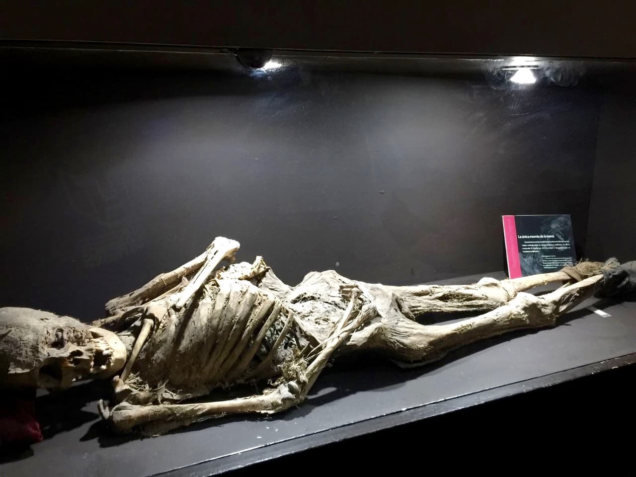 Los comentarios son en su mayoría favorables y muchos lo describen como una atracción única en su tipo, mientras que para otros el recorrido es muy corto.