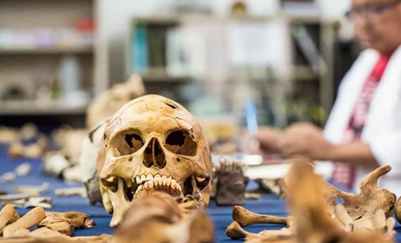 Creían que era una narcofosa con 150 cráneos, pero resultó ser un sitio sagrado