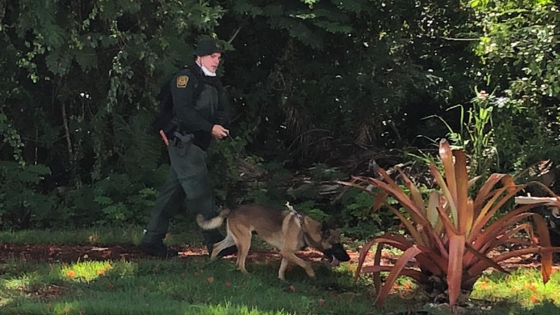 Autoridades sorprenden a 17 indocumentados dominicanos en campo de golf de Aguadilla 
