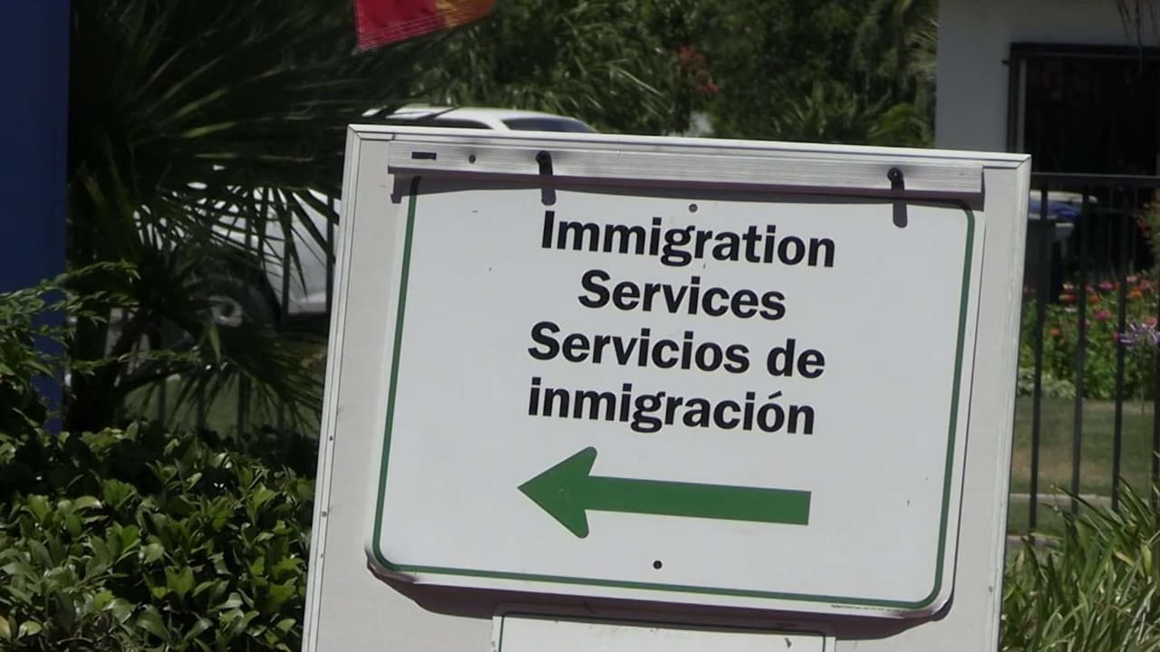 14 años de DACA: Así es como los beneficiarios enfrentan las demoras en sus renovaciones