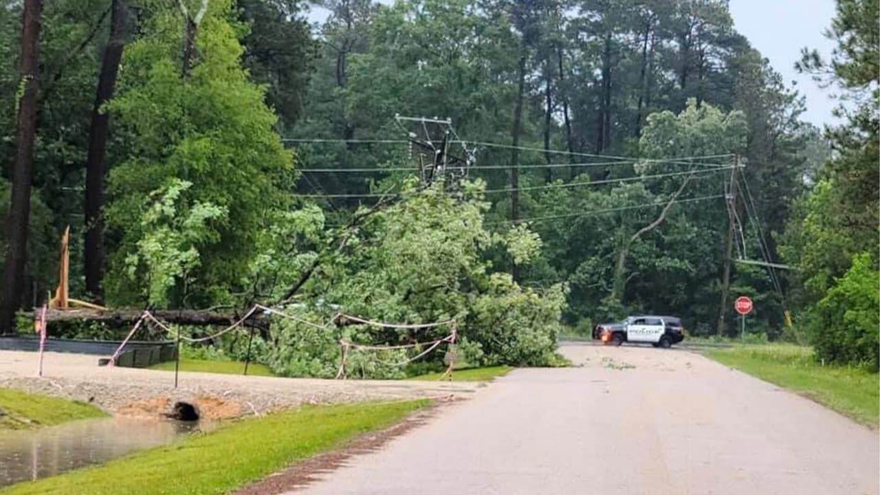Árboles caídos por la tormenta provocan cortes eléctricos en Cleveland, Texas