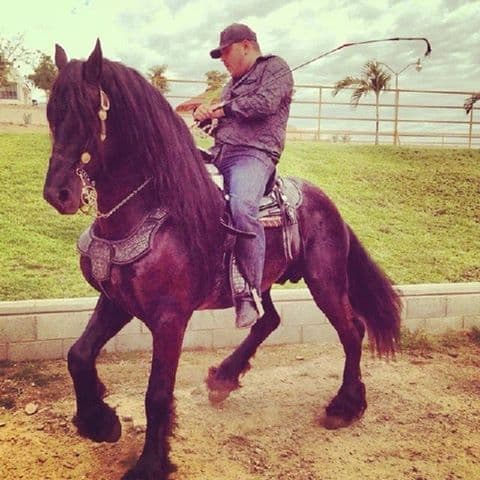 El cantante tiene también el tema 'Soy de rancho' donde describe esta vida... "Si señor yo soy de rancho // soy de botas y a caballo".