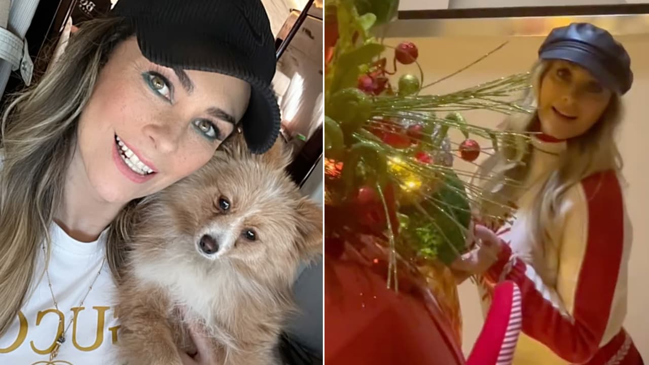 Aracely Arámbula se inspiró en su amor por los animales para decorar su hermoso árbol de Navidad