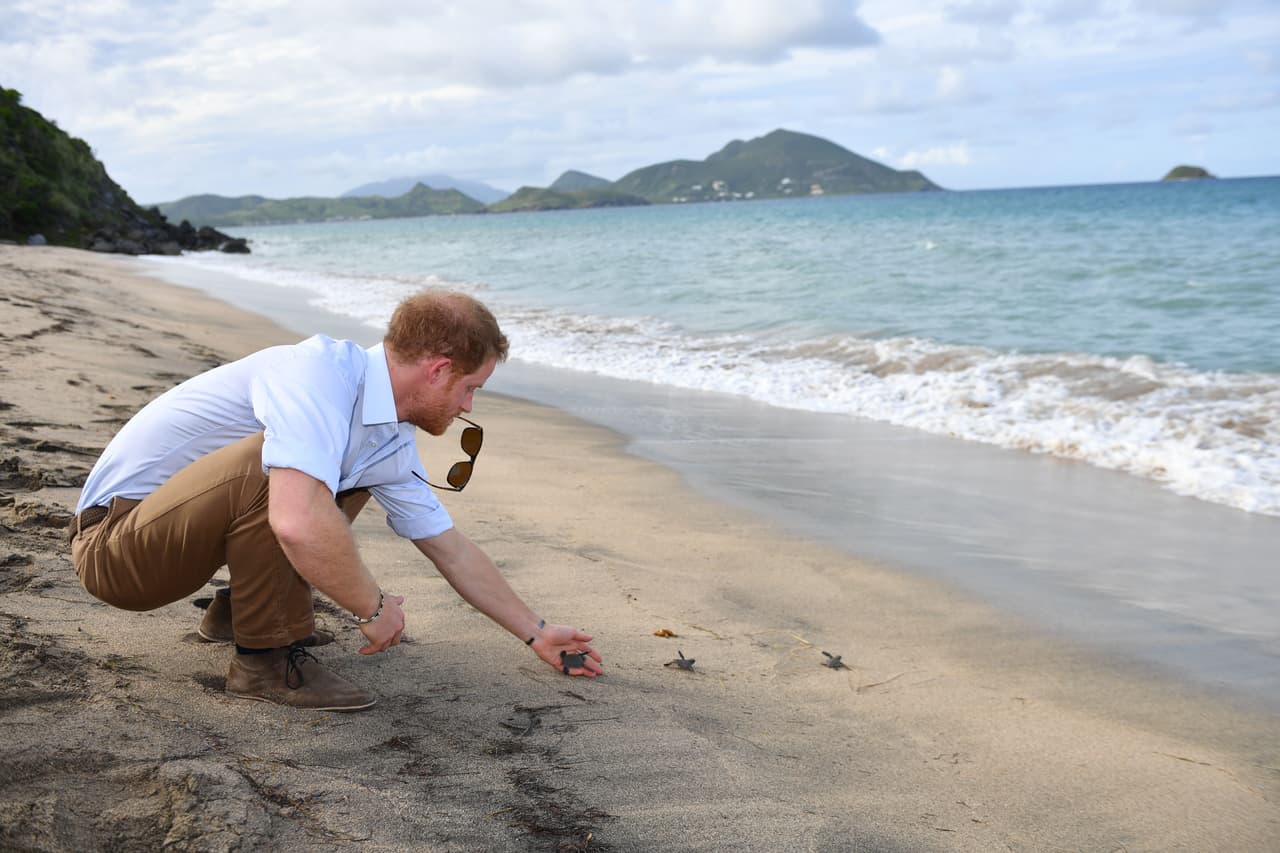 Pero en Isla Nieves destacó este momento tierno en que ayudó a liberar tortuguitas en el mar.