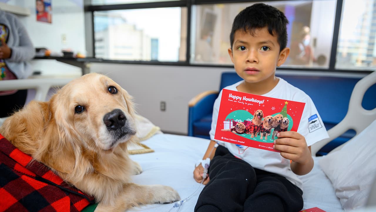 La terapia canina representa un estímulo y apoyo durante la terapia física, ocupacional y del habla.