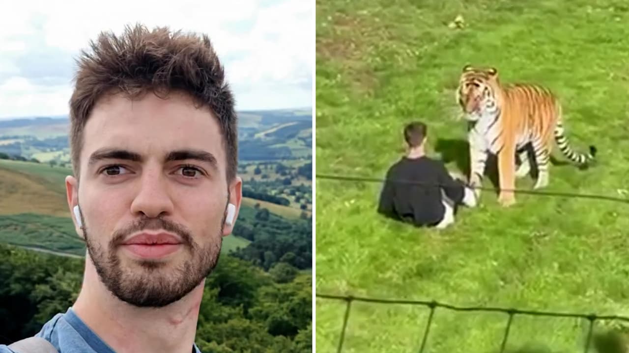 Hombre que murió tras saltar a recinto de tigres en zoológico era actor de TV: estuvo en series