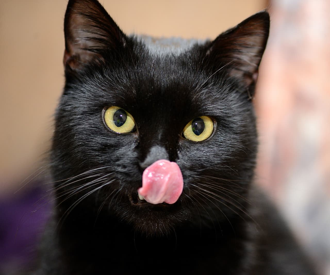 No olvidemos que culturalmente “el color negro” siempre estuvo vinculado con el concepto de oscuridad, con la noche, lo oculto, la magia negra, lo que no podemos ver y por ello no es coincidencia que la gente le tenga temor a todo lo relacionado con este color.