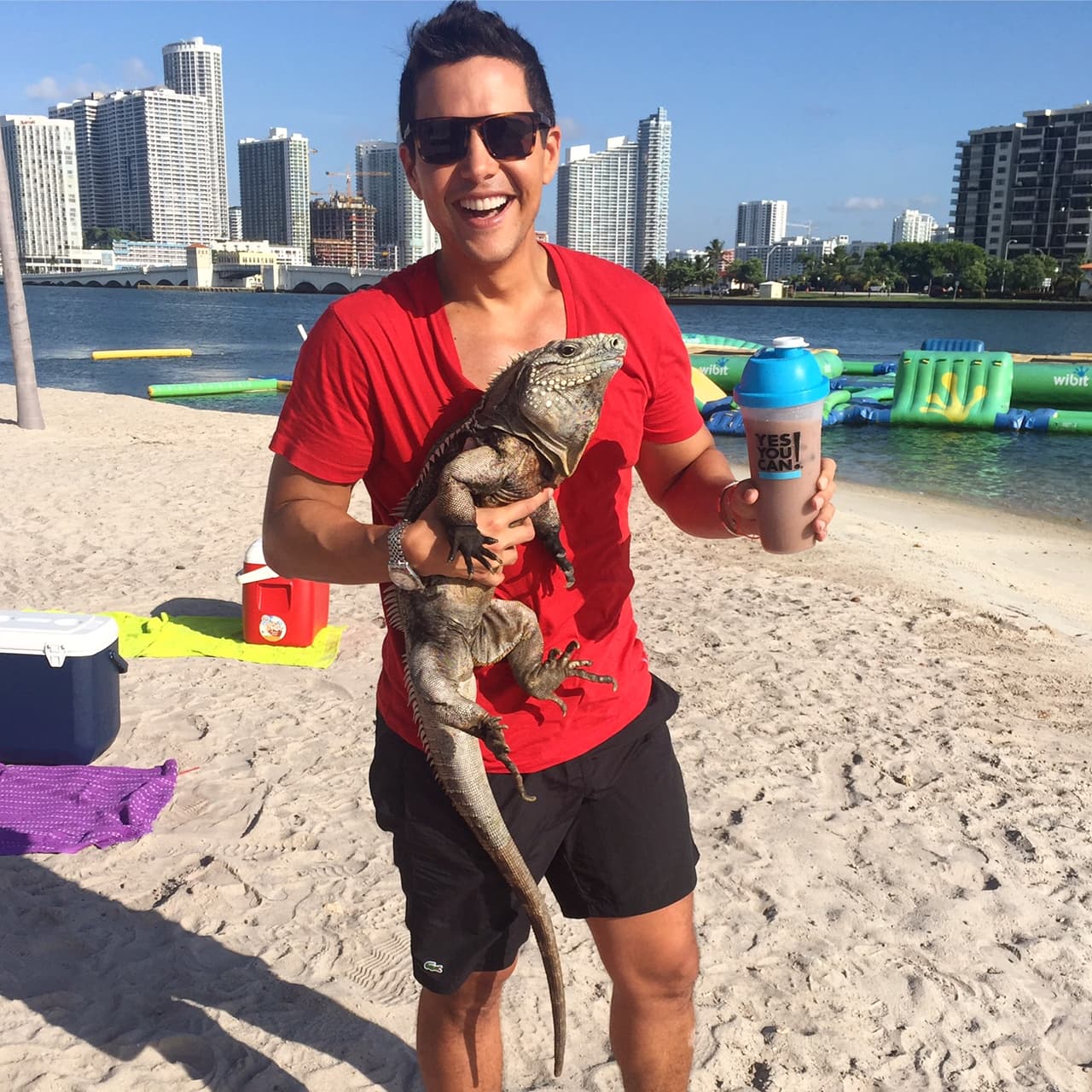 La iguana estaba feliz en los brazos de Chabán.