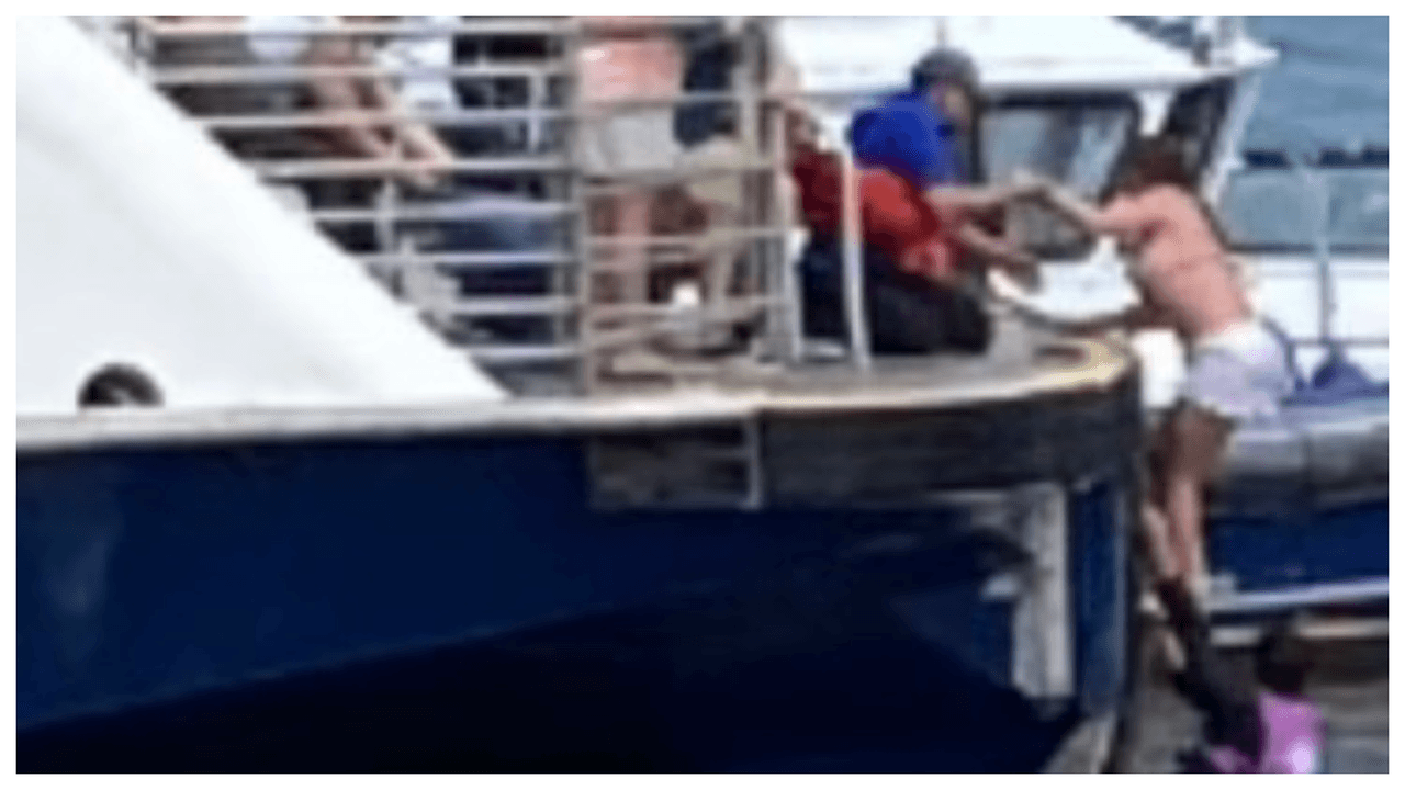 El bote privado se volcó alrededor de las 2:46 p.m. frente al Muelle 84 cerca de W. 46 St. y 12th Ave. en Midtown, dijeron la policía y los bomberos.