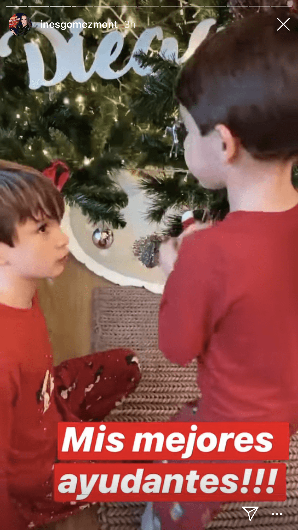 En una de las imágenes explicó que no pudo ayudar físicamente con la decoración del árbol; sin embargo, sus pequeños y su marido, Víctor Álvarez, siguieron todas las instrucciones que la conductora les dio.
<br>