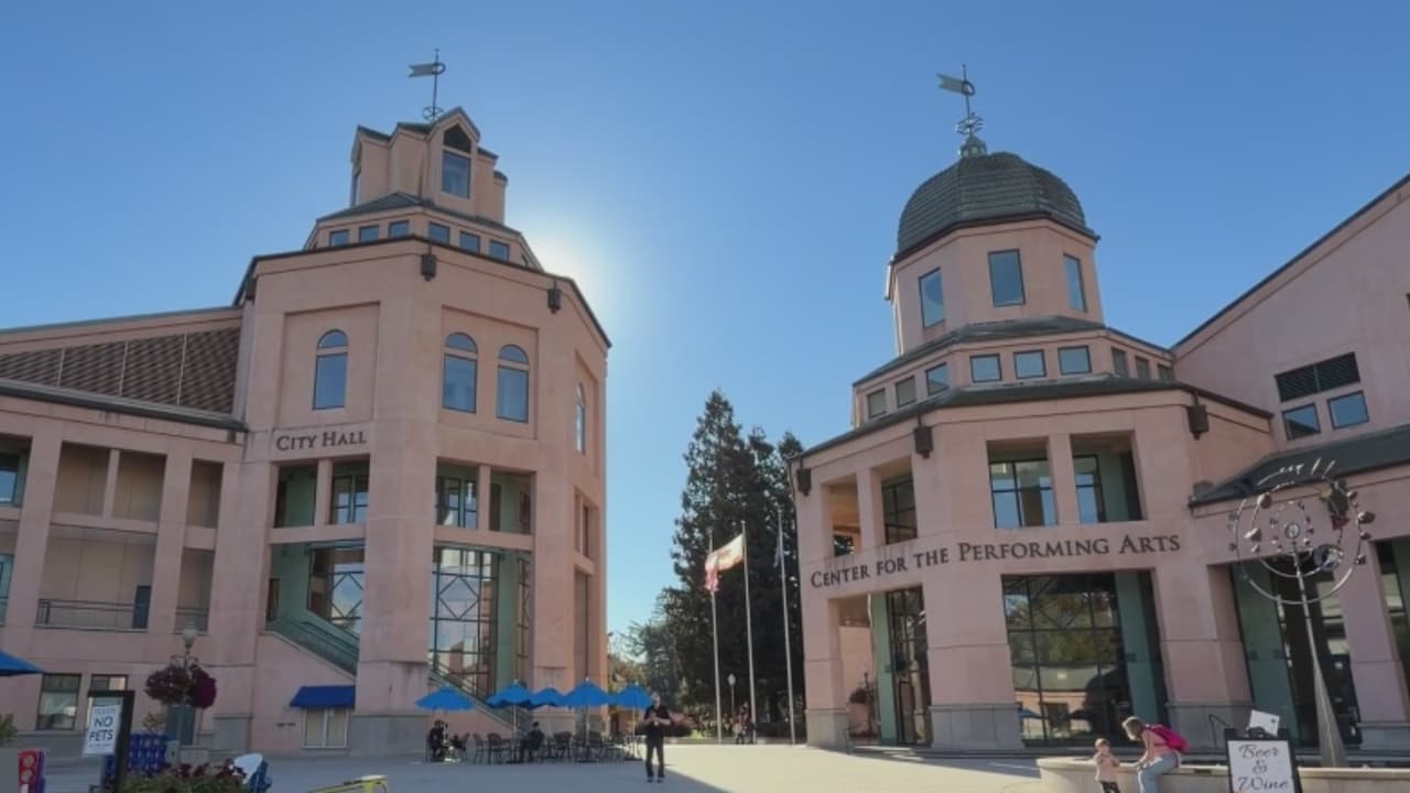 Mountain View aprueba moratoria para frenar centros de detención de ICE