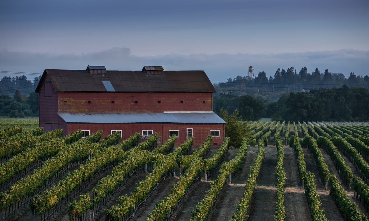<b>LUGAR 13.</b> Pese a que en los últimos años Santa Rosa ha sido afectada gravemente por catástrofes naturales como incendios e inundaciones, el ánimo entre sus residentes sigue siendo positivo. Precisamente su arraigado sentido de comunidad la ayudó a obtener esta posición en el conteo.