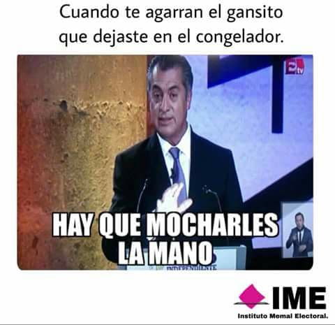 Ningún gansito fue lastimado en la creación de este meme.