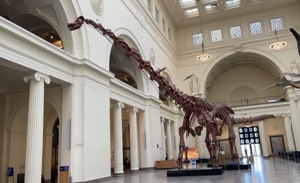 Descubre la magia del Field Museum de Chicago 