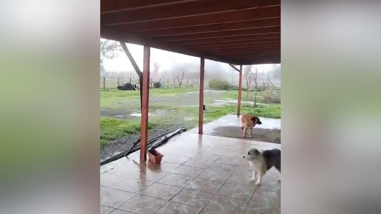 ¿Tornado en Chile?: Torbellino sorprende en zona rural y residentes graban fenómeno