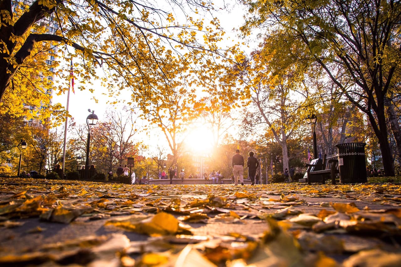 Estas son tres de las mejores ciudades de Estados Unidos para vivir: ¿sabes si se encuentra la tuya?