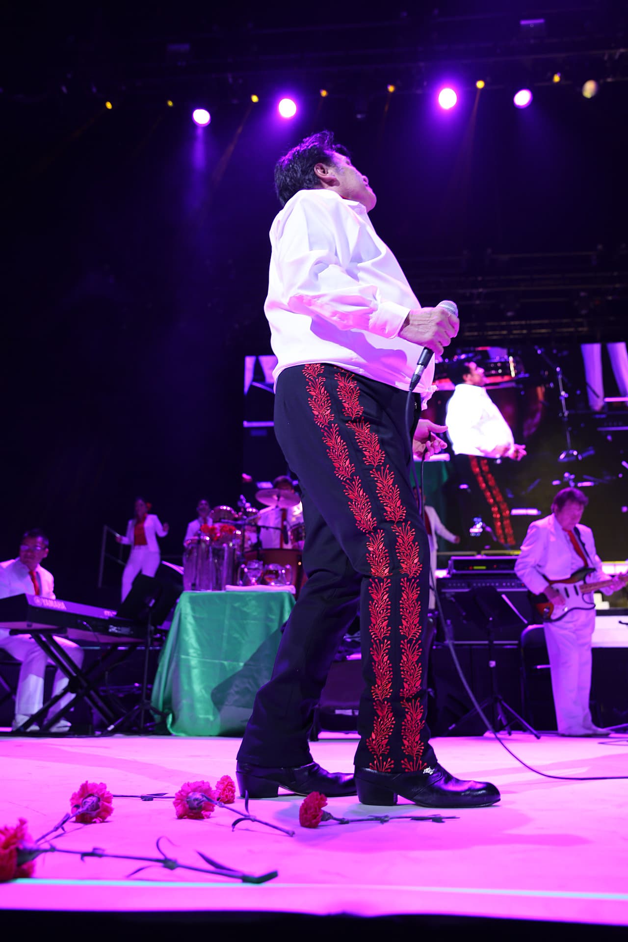 José José, Angélica María, Lola Beltrán, Lucía Méndez, Daniela Romo, Ana Gabriel, Isabel Pantoja, Luis Miguel, Alejandro Fernández y otros, han dado su voz para interpretar sus canciones.