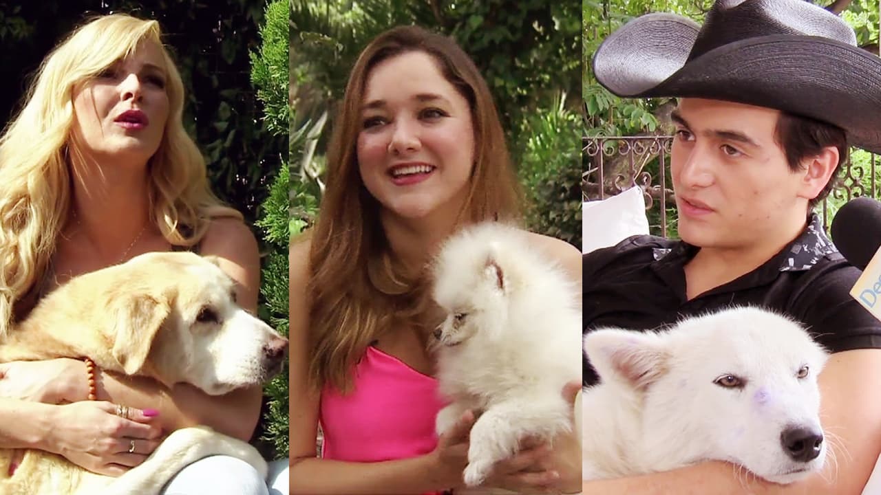 Marjorie, Sherlyn y Julián no se separan de sus amadas mascotas