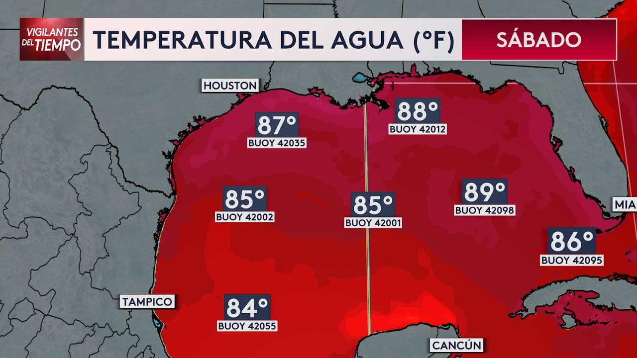 <a href="https://www.univision.com/local/dallas-kuvn/beryl-huracan-trayectoria-tormenta-meteorologos-record" target="_blank">Beryl se intensificó por las altas temperaturas en el Golfo de México</a>. Ha sido 
<b>el huracán que más rápido se ha formado e intensificado en el Atlántico.</b>