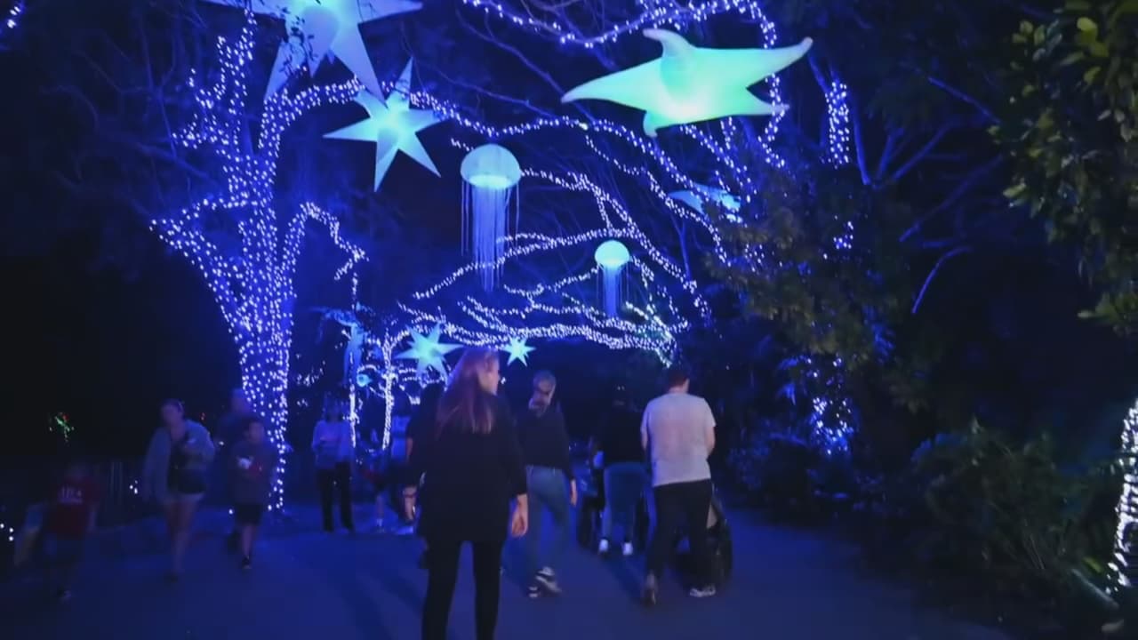 Como cada año, el zoológico se transforma para ofrecer a sus visitantes un espectáculo nocturno que chicos y grandes disfrutarán.