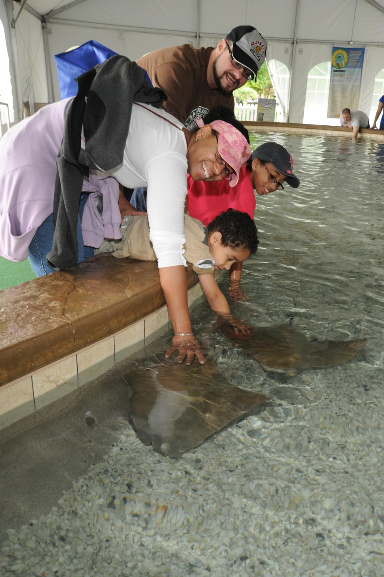 Imágenes de la exhibición Stingray Bay Habitat que por ahora ha sido suspendida luego de que 54 mantarrayas murieron por un problema con los níveles de oxígeno.