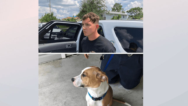 Detienen a joven que lastimó a un perro en el condado de Lee