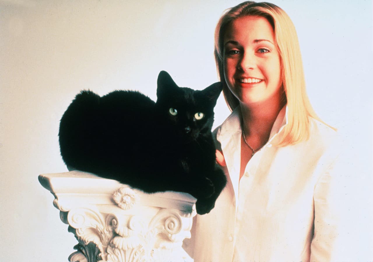 Y claro, no nos podemos olvidar del gato
<b><a href="https://www.univision.com/entretenimiento/cultura-pop/salem-gato-sabrina-frases">Salem</a></b>
<a href="https://www.univision.com/entretenimiento/cultura-pop/salem-gato-sabrina-frases">, quien nos regaló frases inolvidables</a> gracias a su peculiar sentido del humor.
