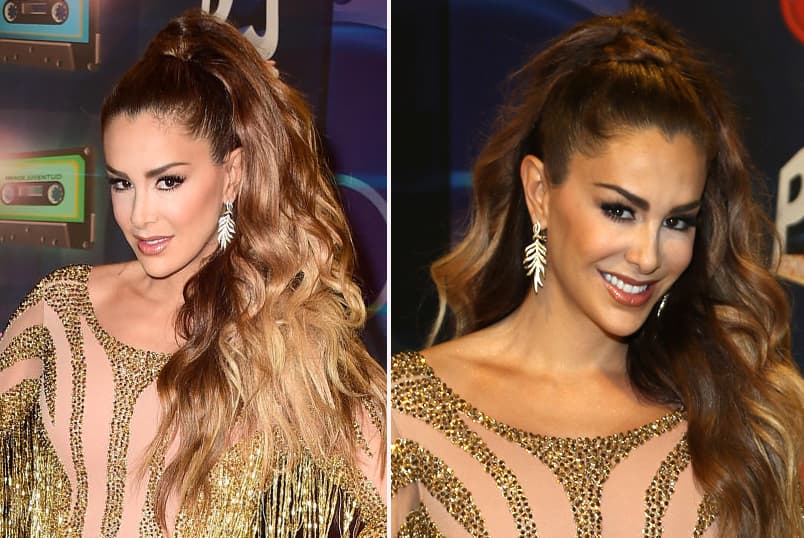 Ninel Conde nos mostró en 2015 su abundante y larga cabellera sujeta con una coleta muy apretada.