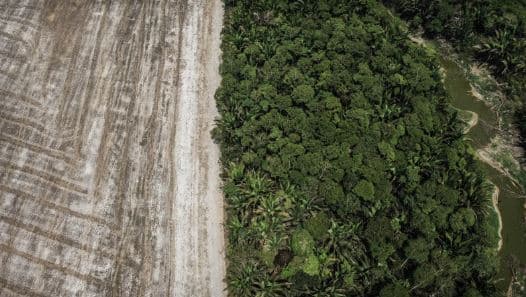 Una parte de la Amazonía deforestada para el cultivo de soja. Rondonia, Brasil.