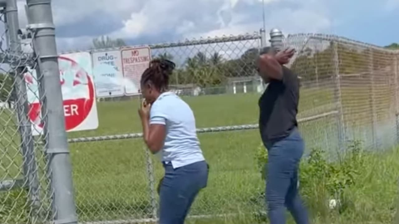 Una mujer de 71 años muere tras ser atacada por una manada de perros 