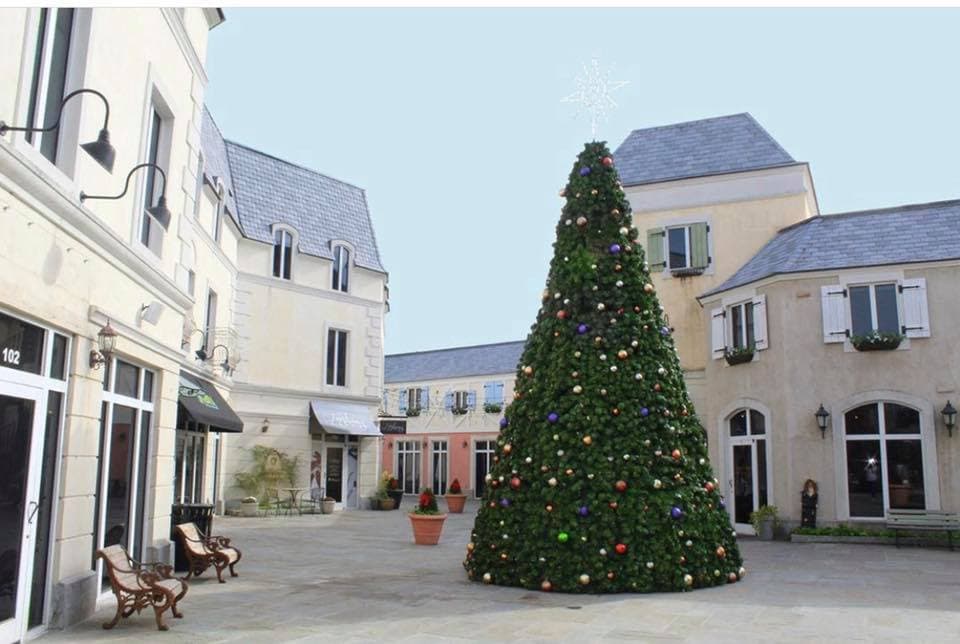 <b>Evento</b>: Lighting of the Tree at Lafayette Village
<br>
<b>Fecha</b>: 18 de noviembre
<br>
<b>Lugar</b>: Lafayette Village. 8450 Honeycutt Road. Raleigh, NC
<br>
<b>Sitio web</b>: 
<a href="https://lafayettevillageraleigh.com/lot/">https://lafayettevillageraleigh.com/lot/</a> 
<br>
<br>El evento incluye la iluminación del árbol navideño, música en vivo, paseos en carruajes, actividades familiares, la visita de Santa Claus y más.