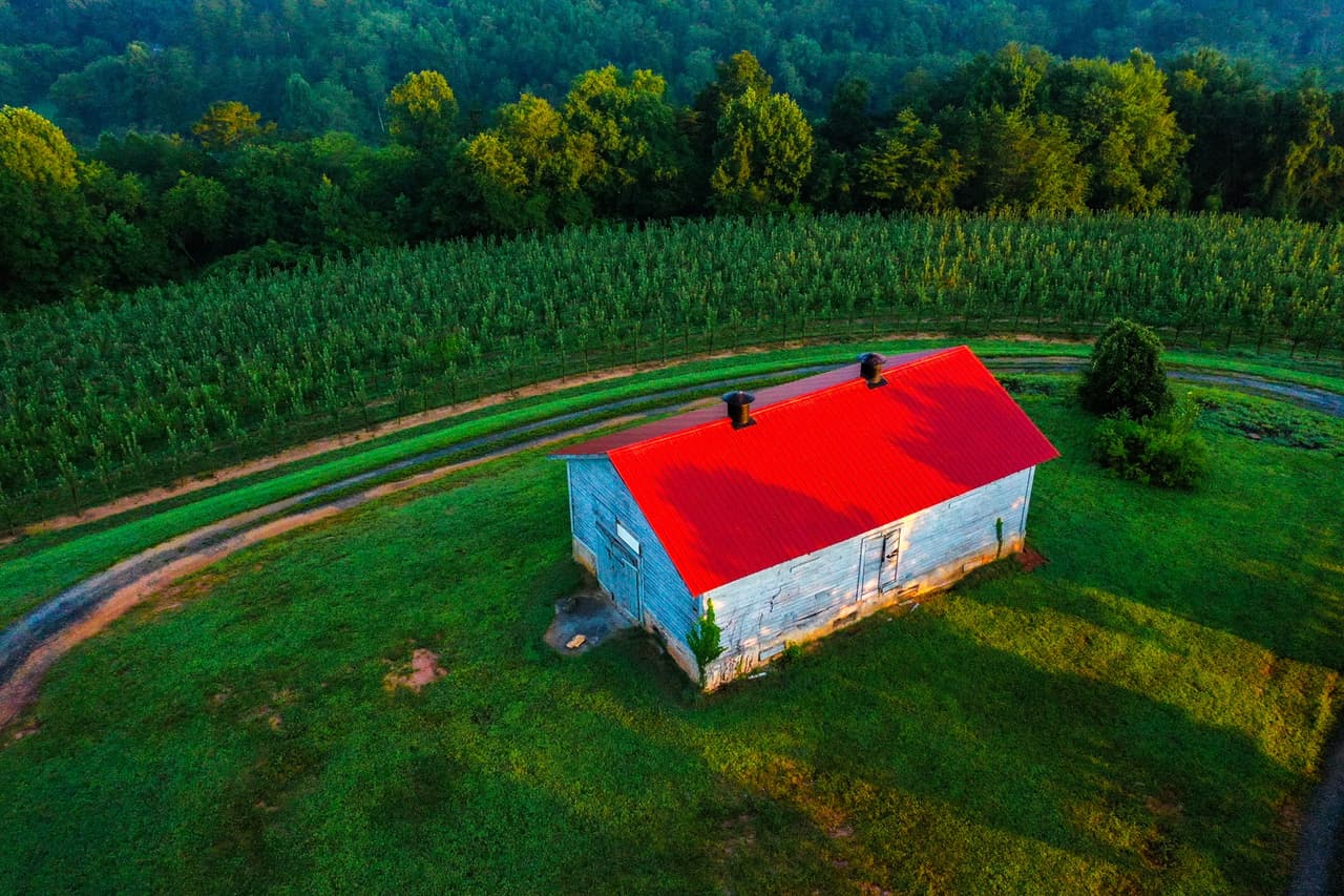 <b><a href="https://mercier-orchards.com/">Número 1: Mercier Orchards (Blue Ridge).</a> </b>La combinación de eventos para recolectar frutas a mano, Bakery & Market Cafe, Market Store y la Farm Winery la convierte en una excelente opción para una excursión de un día solo o con la familia.