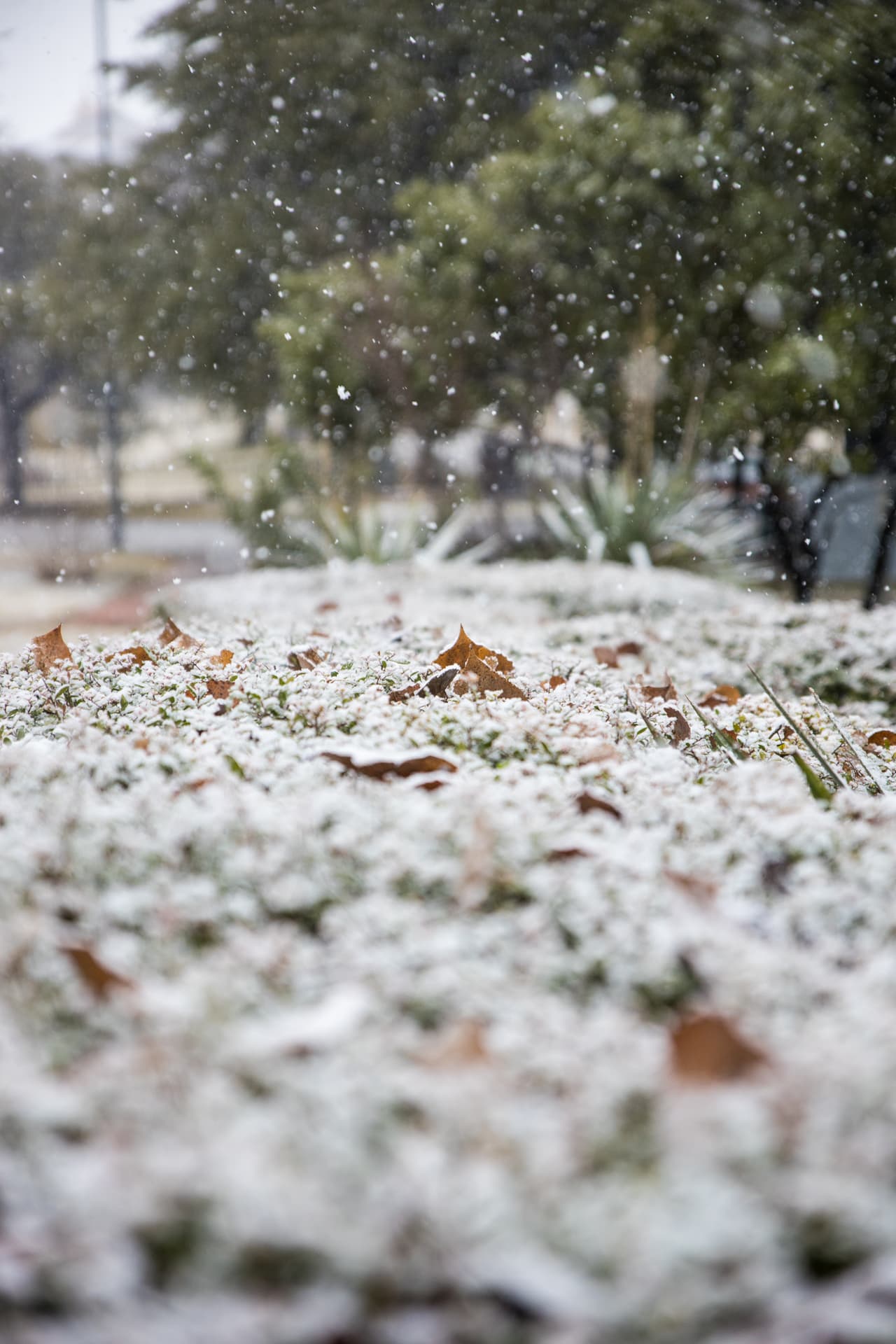 La última vez que la ciudad recibió más de una pulgada de nieve fue del 7 al 8 de diciembre de 2017, cuando cayeron 1.3 pulgadas en el Aeropuerto Internacional Austin Bergstrom.