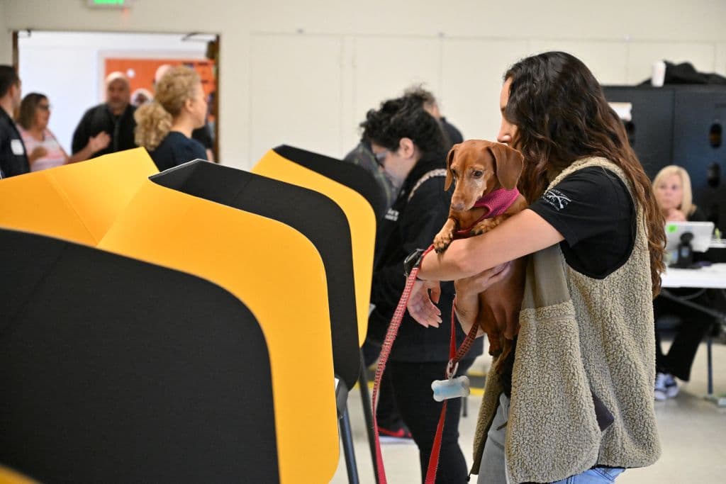 Una mujer acudió con su perro a un centro de votación en Burbank, California.