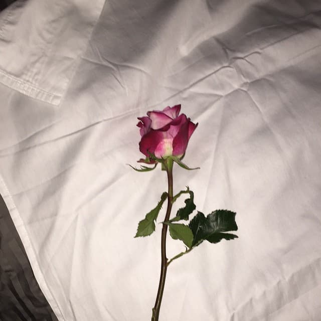 Shannon de Lima y Marc Anthony estuvieron casados de noviembre de 2014 a febrero de 2017; sin embargo, 
<b><a href="https://peopleenespanol.com/gallery/historia-de-amor-marc-anthony-shannon-de-lima/?slide=113827#113827" target="_blank">los rumores de que la relación se había fracturado comenzaron en noviembre de 2016</a>. </b>